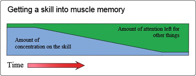 Muscle memory